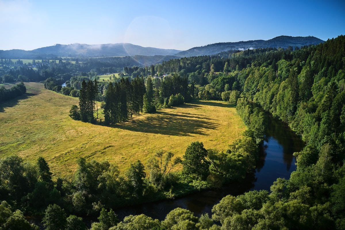 Colorful autumn in Zaton